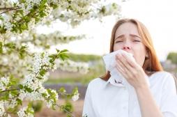 Allergies aux pollens : voici les bons réflexes à adopter