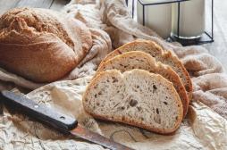 Ce nouveau pain améliore les taux de cholestérol et la sensibilité à l'insuline 