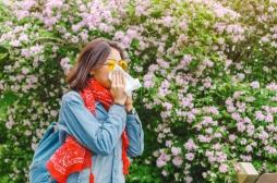 Allergies au pollen : les traitements sont-ils remboursés ?