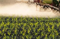Pesticides : ce que dénonce la tribune choc contre la loi Duplomb