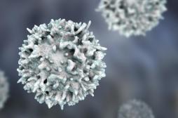 Les rhumes ont entraîné notre système immunitaire à reconnaître la Covid-19
