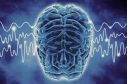 Cerveau : les ondes cérébrales spécifiques à nos états de pensée identifiées