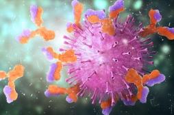 Coronavirus : la réponse immunitaire exagérée à l’origine des cas graves