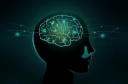 Addiction : une question de choix ou de cerveau ?