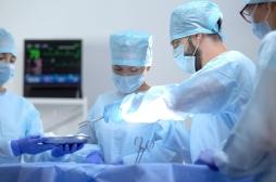 Première mondiale : un poumon de porc transplanté sur un patient 