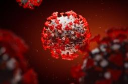 Coronavirus : un traitement prometteur développé à Marseille 