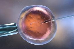 L’âge maternel principal facteur d’échec des FIV ?