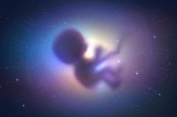 Pourquoi le premier “bébé de l’espace” n’est pas près de naître