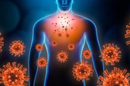 Vieillissement : l'inflammation chronique est-elle vraiment inévitable ?