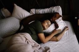 Sommeil : partager votre lit avec votre animal de compagnie peut gâcher votre nuit
