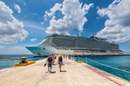 Epidémies virales : les croisières, des environnements à haut risque 