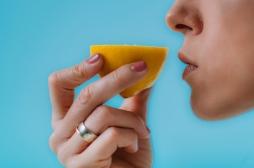 Covid long : la perte de l’odorat pourrait prédire un déclin cérébral à long terme