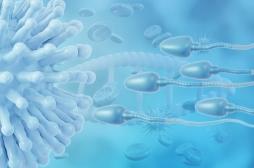 Covid-19 : la qualité du sperme baisse même avec les formes bénignes