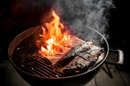 Du plaisir au drame : les leçons tirées d'un barbecue malheureux