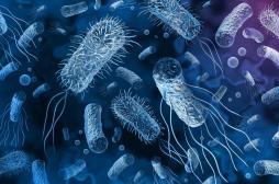 Antibiorésistance : un nanogel parvient à détruire les bactéries résistantes