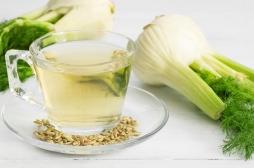 Digestion difficile : 8 plantes qui peuvent soulager votre estomac