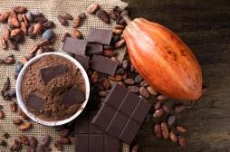 Flavanols : du cacao contre l’inflammation liée à l'âge ?