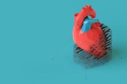Cœur : un gel à base de pâte de bois pour réparer le tissu cardiaque endommagé