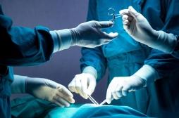 Transplantation : un an après, la greffe de vessie est un succès