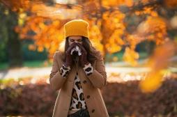 Allergies d’automne : les symptômes sont similaires à ceux du printemps et de l'été