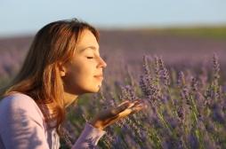 Sentir les odeurs de la nature améliore la santé mentale 