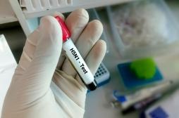 Grippe aviaire : des chercheurs alertent le gouvernement américain sur le manque de tests 