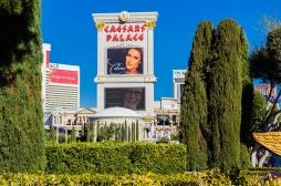 Céline Dion se confie sur ses symptômes du syndrome de la personne raide