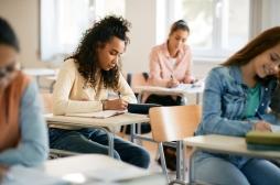 Le pollen pourrait avoir des effets sur les résultats scolaires 