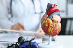 La cardiomyopathie hypertrophique : un tueur trop discret