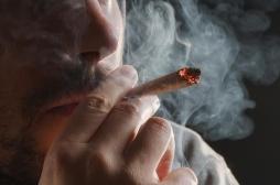 Cannabis et crise cardiaque : un risque sous-estimé