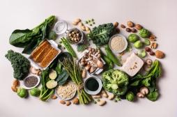 Plus de protéines végétales, moins de maladies chroniques ?
