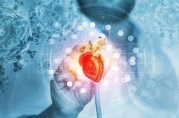 Pourquoi votre cœur pourrait être plus vieux que vous