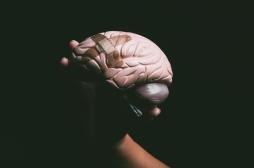 Cerveau : la 3ème commotion pourrait porter le coup fatal à la santé cérébrale