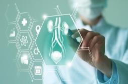 Cancer de la vessie : un implant à chimio pour éliminer les tumeurs sans chirurgie