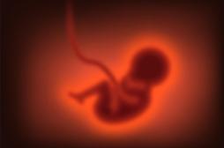 Il naît d’un embryon congelé depuis 30 ans