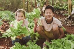 Mangez durable, vivez mieux : un impératif pour la santé et l'environnement