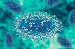 330 cas de variole du singe en France