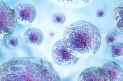 Des molécules vibrantes peuvent tuer 99% des cellules cancéreuses