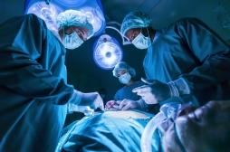 Les greffes d’organes retrouvent leur niveau d’avant-Covid en France