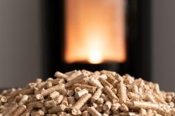 Stockage de granulés de bois pour le chauffage : ce risque méconnu pour la santé