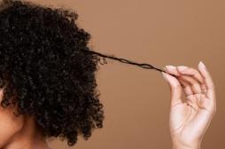 Comment les cellules souches des cheveux peuvent faciliter la cicatrisation des plaies