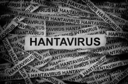 Hantavirus : comment l’Argentine a traité l’épidémie de 2019