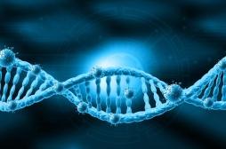Superbactéries : découverte de gènes responsables de la résistance aux antibiotiques 