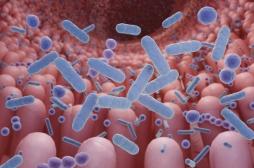 Autisme : le microbiote intestinal en cause ? 