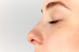 Pourquoi les femmes reconnaissent mieux les odeurs que les hommes