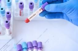 Choléra : une souche très résistante aux antibiotiques à l’origine de l’épidémie à Mayotte