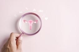 Pourquoi la fertilité des femmes chute-t-elle brutalement après 32 ans ?