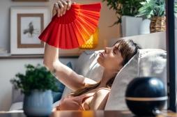 Canicule : 5 conseils pour rafraîchir votre logement et éviter le coup de chaleur