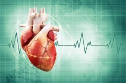 Insuffisance cardiaque : 4 propositions pour améliorer la prise en charge des malades