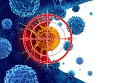 Cancer du sang : déjà 500 patients traités avec une nouvelle thérapie cellulaire à Lyon